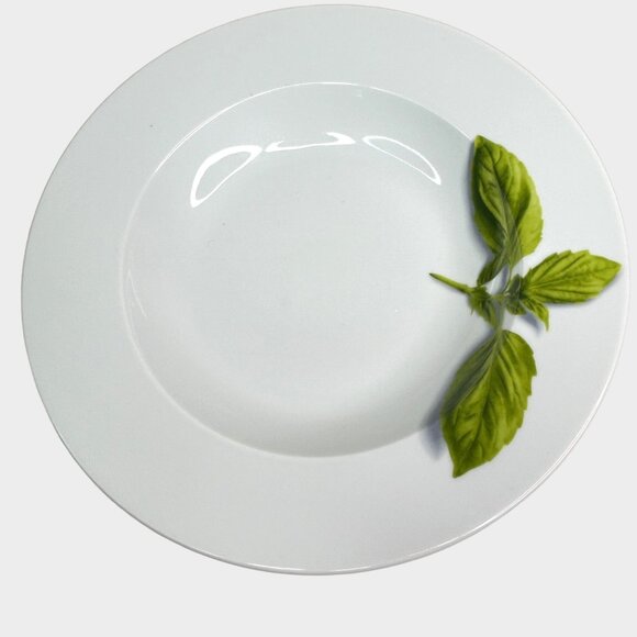 Crate & Barrel Herb Motif Porcelain Dinner Plates Set Of 2 - Picture 7 of 9